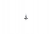 BEC 12V H1 55W ECO BOSCH