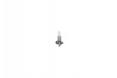 BEC 12V H1 55W ECO BOSCH