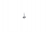 BEC 12V H1 55W PURE LIGHT BOSCH
