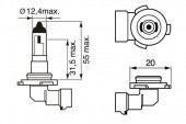 BEC 12V H10 42W PURE LIGHT BOSCH