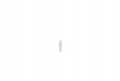 BEC 12V PBT5 2W PURE LIGHT SET 10 BUC BOSCH