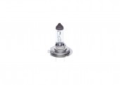BEC 24V H7 70W TRUCKLIGHT BOSCH