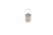 BEC 24V R5W 5W ECO TRUCK SET 10 BUC BOSCH