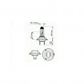 BEC FAR H7 12V 55W PX26D BASIC SCT